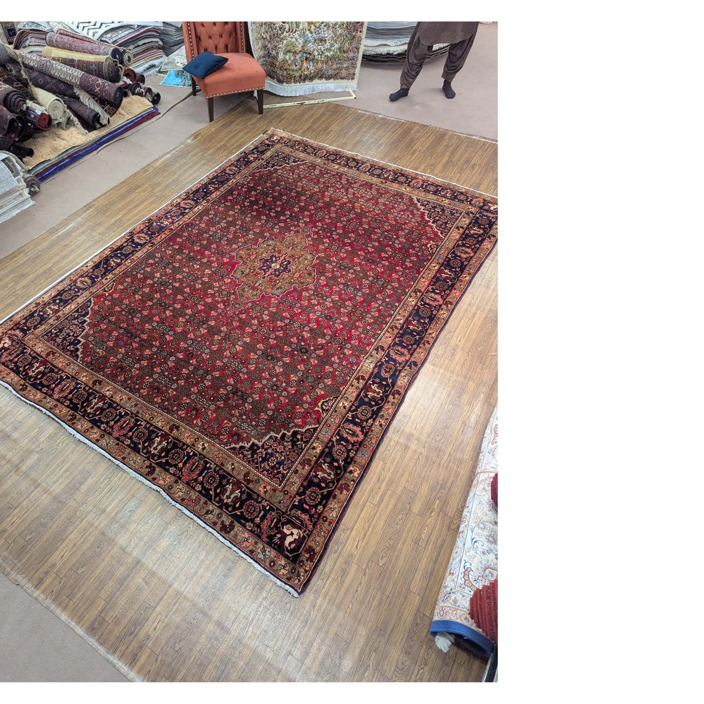 Persian Kashan Garden Medallion Rug – 8ft x 11ft