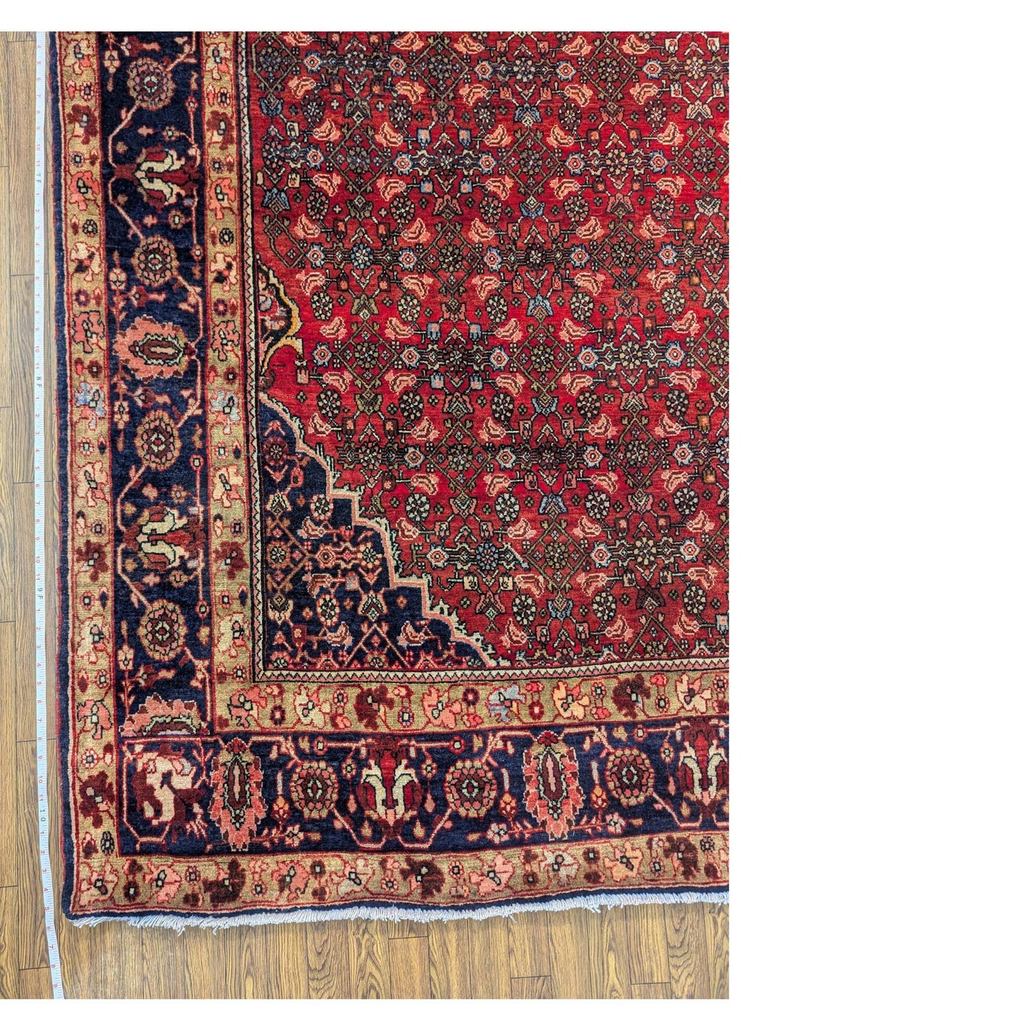 Persian Kashan Garden Medallion Rug – 8ft x 11ft